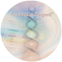 Les niveaux d’orgueil (sans gratuite) (1)